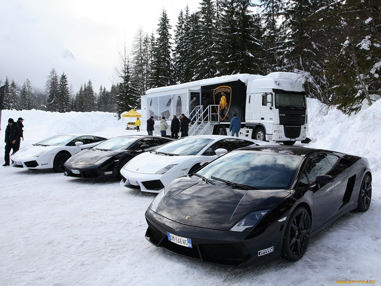 , lamborghini